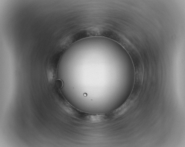 X0000113100134200908281355