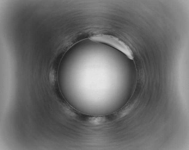 X0000113100135200908281355