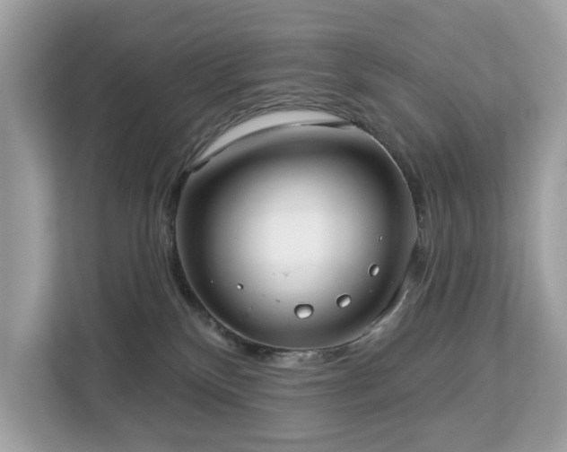 X0000113100136200908281355