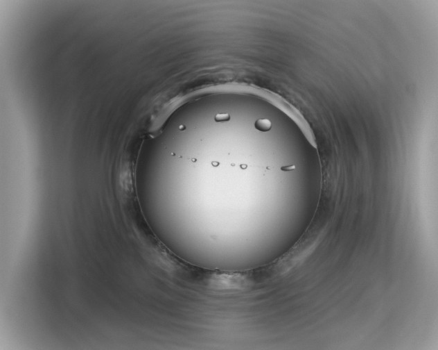 X0000113100137200908281355