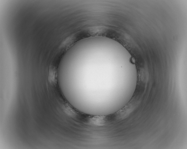 X0000113100138200908281355