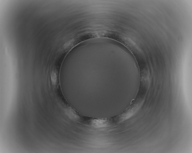 X0000113100139200908281355