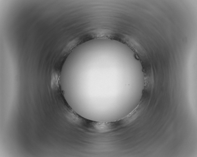 X0000113100142200908281355