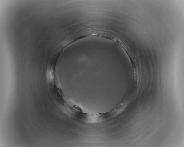 X0000113100143200908281355