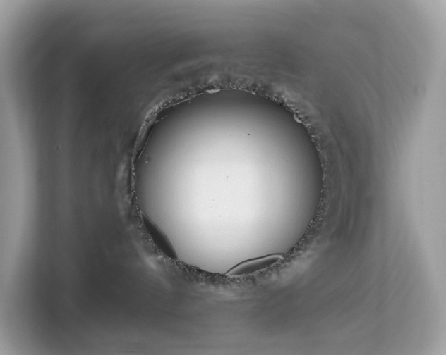 X0000113100144200908281355