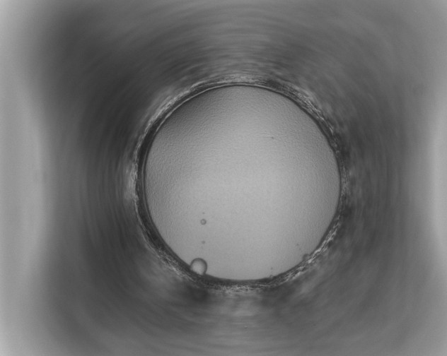 X0000113100146200908281355