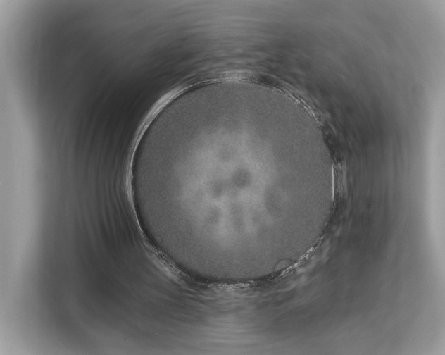 X0000113100147200908281355