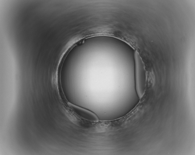 X0000113100148200908281355