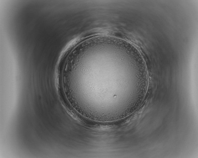 X0000113100149200908281355