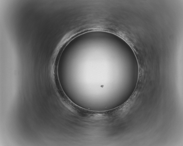 X0000113100151200908281355