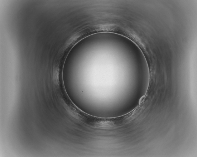 X0000113100154200908281355