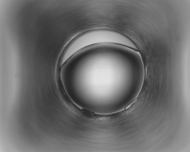 X0000113100156200908281355