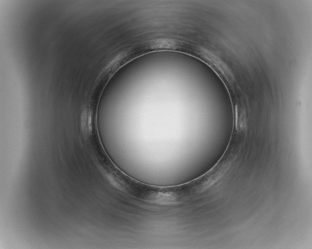 X0000113100157200908281355