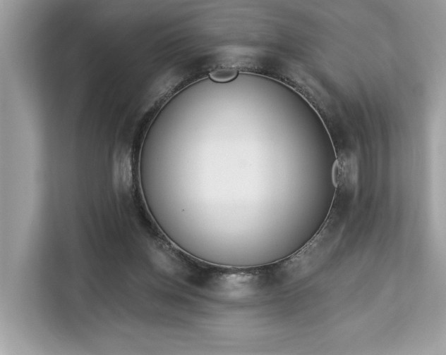 X0000113100158200908281355