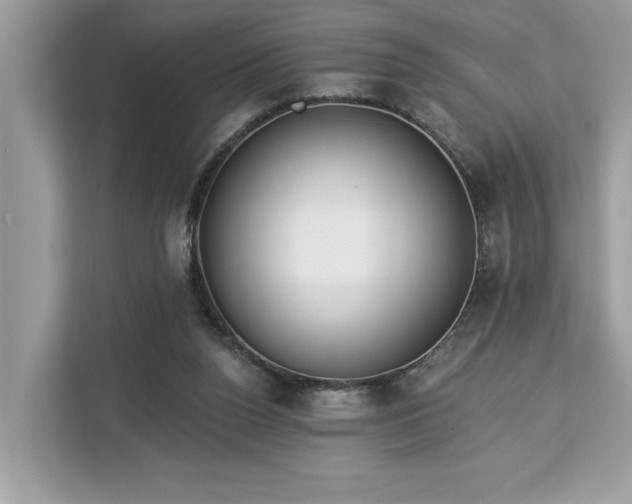 X0000113100160200908281355