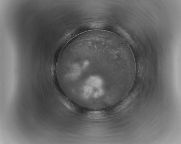X0000113100161200908281355