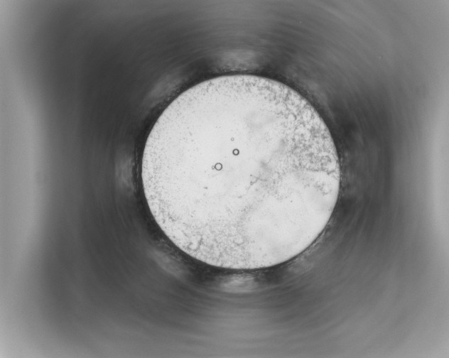 X0000113100162200908281355