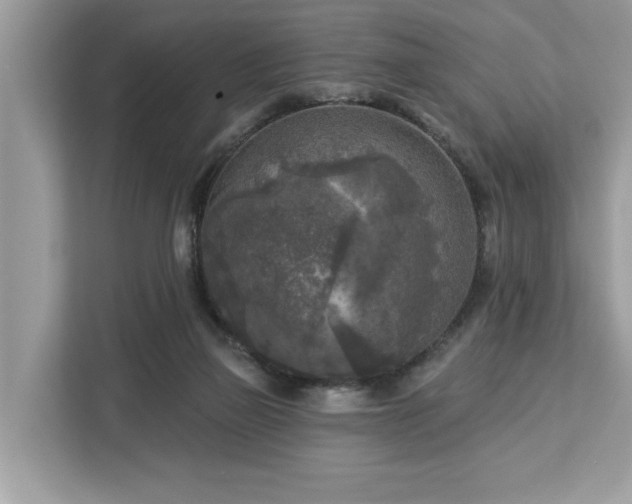 X0000113100165200908281355