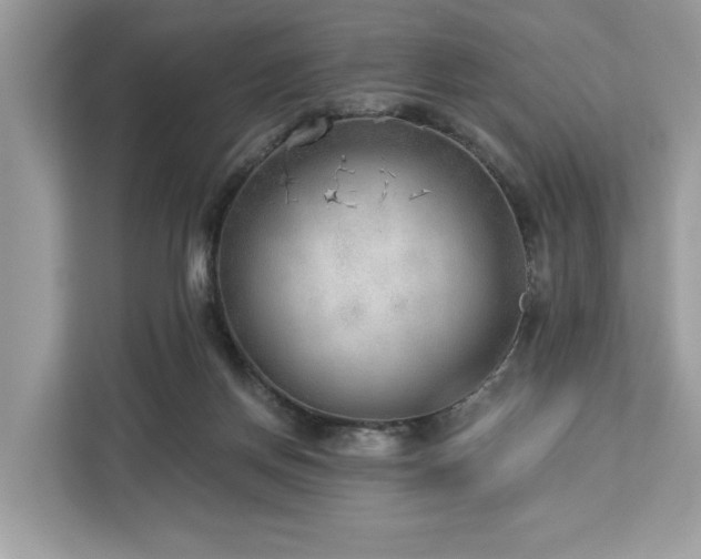 X0000113100166200908281355