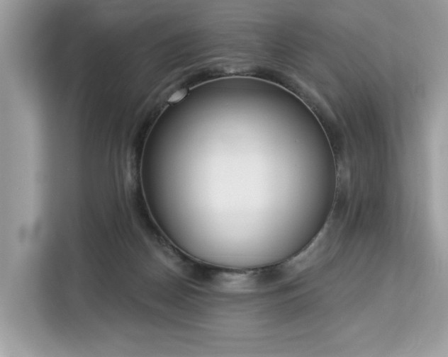 X0000113100170200908281355