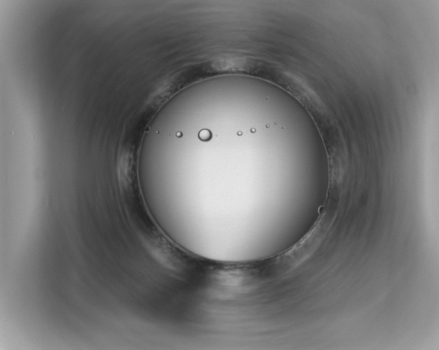 X0000113100171200908281355