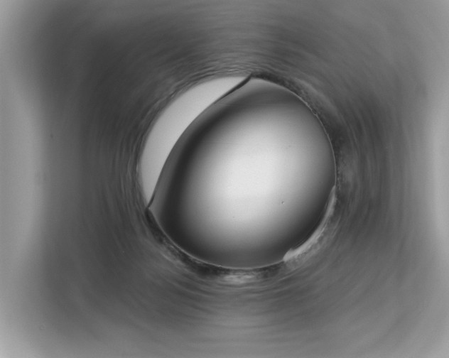 X0000113100172200908281355