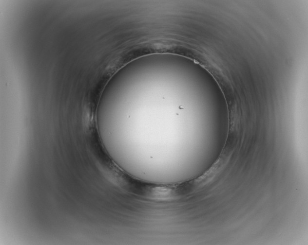 X0000113100176200908281355