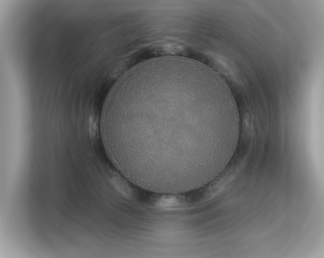X0000113100177200908281355