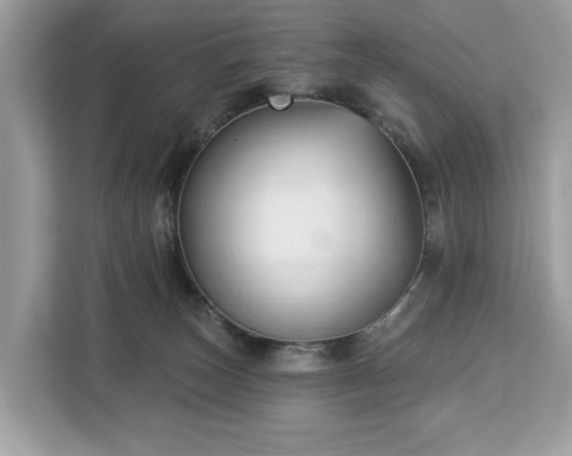 X0000113100179200908281355
