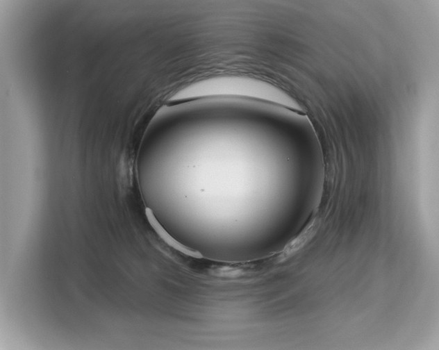 X0000113100180200908281355