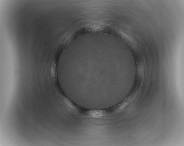 X0000113100181200908281355