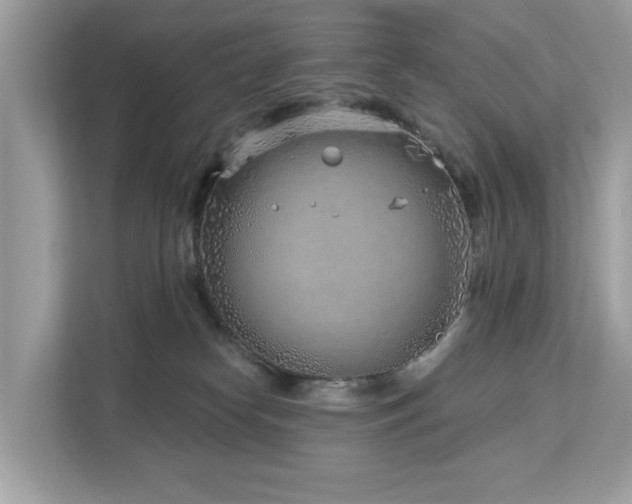 X0000113100182200908281355