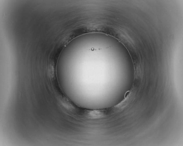 X0000113100183200908281355