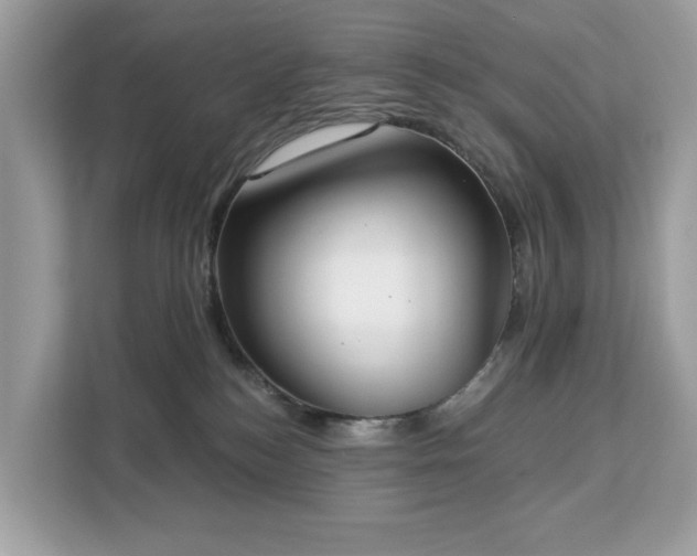 X0000113100184200908281355