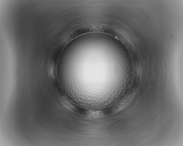 X0000113100185200908281355