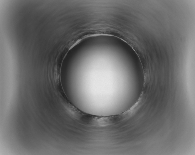 X0000113100186200908281355