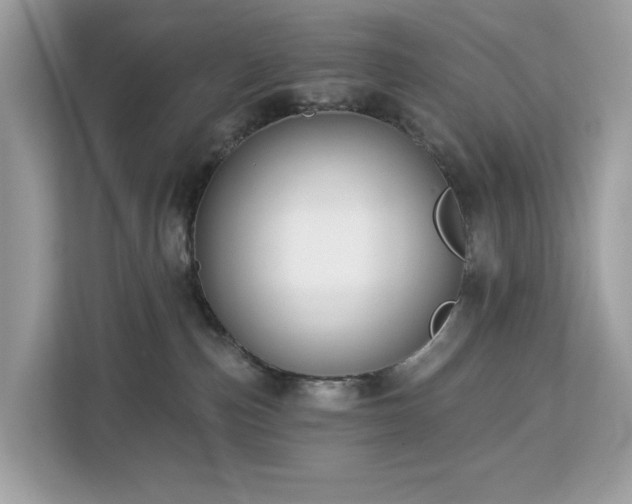 X0000113100187200908281355