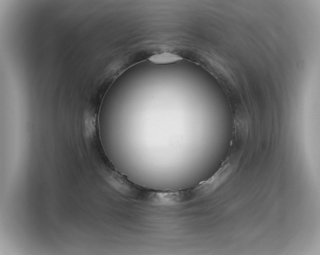 X0000113100188200908281355