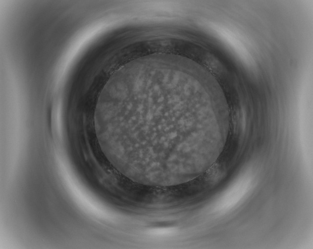 X0000113100189200908281355