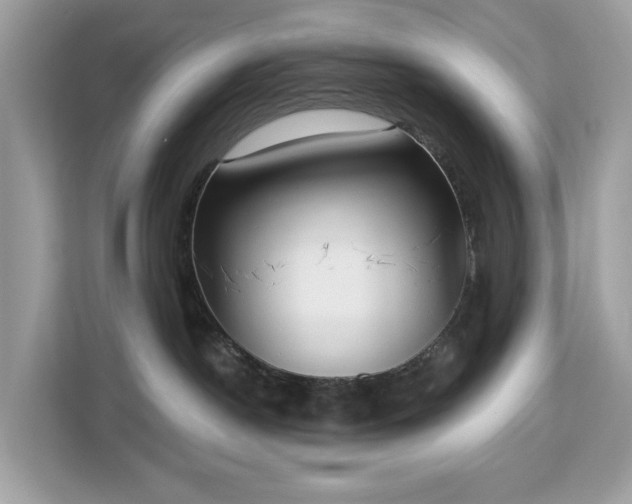 X0000113100190200908281355