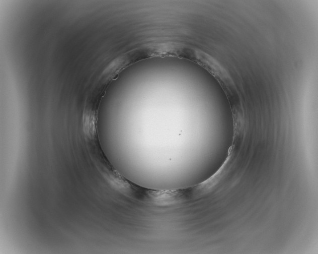 X0000113100191200908281355