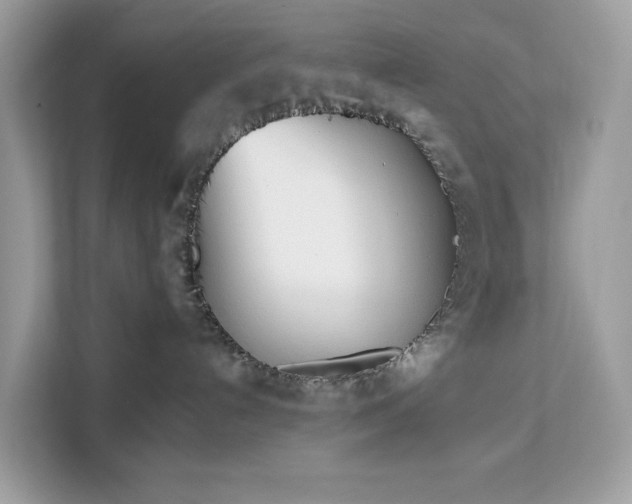 X0000113100192200908281355