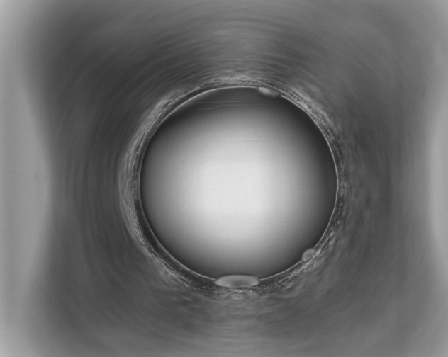 X0000113100193200908281355