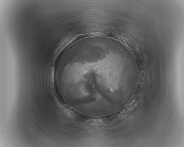 X0000113100194200908281355