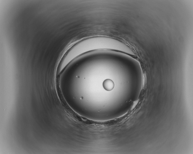 X0000113100195200908281355