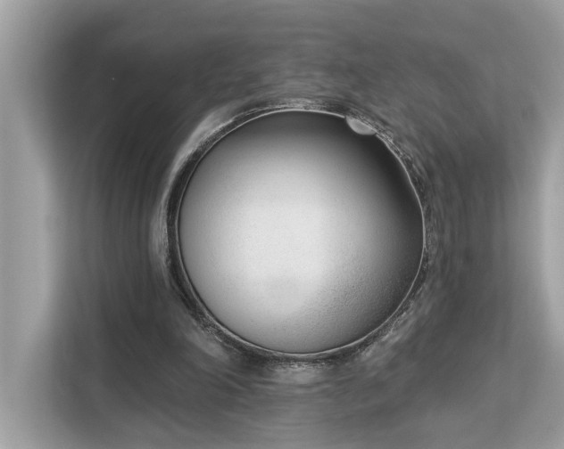 X0000113100198200908281355
