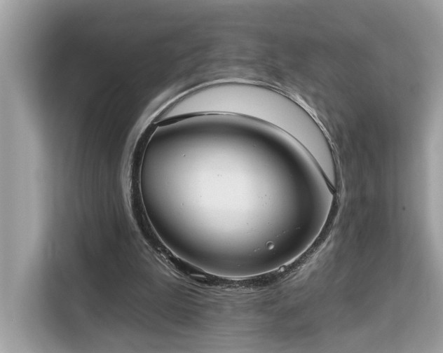 X0000113100199200908281355