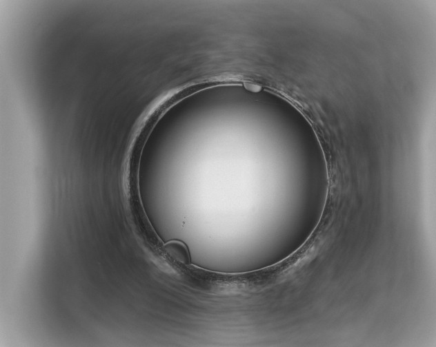 X0000113100200200908281355
