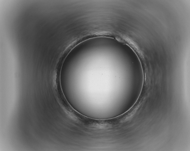 X0000113100201200908281354