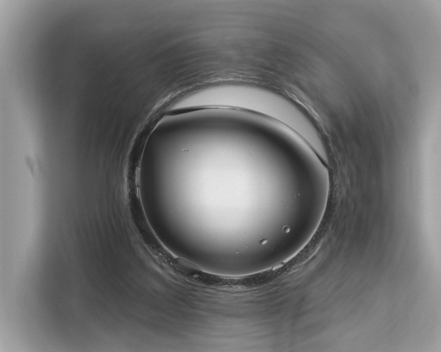 X0000113100203200908281354